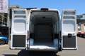 Fiat Ducato Maxi L4H3 180 MT ACC Kamera Klimaautomat... Weiß - thumbnail 12