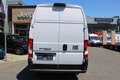 Fiat Ducato Maxi L4H3 180 MT ACC Kamera Klimaautomat... Weiß - thumbnail 10
