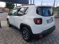 Jeep Renegade Renegade 2019 1.6 mjt Longitude 2wd 120cv Bianco - thumbnail 5