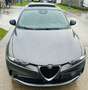 Alfa Romeo Tonale Tonale Ti/1.5  benzine mild hybrid160pk/2023/pano Gris - thumbnail 13