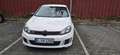Volkswagen Golf GTI Edition 35 Weiß - thumbnail 3