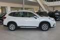 Subaru Forester Forester 2.0 e-Boxer MHEV CVT Lineartronic Free Blanc - thumbnail 4