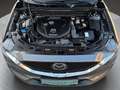 Mazda CX-5 CD184 AWD Revolution Top Aut. Grau - thumbnail 10