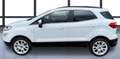 Ford EcoSport 1.0 EcoBoost 125 CV Start&Stop Titanium Bianco - thumbnail 11
