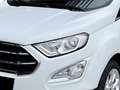 Ford EcoSport 1.0 EcoBoost 125 CV Start&Stop Titanium Bianco - thumbnail 10