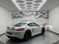 Porsche Cayman S 981 3.4i 325 - PDK - PSE/Bose/PDLS/Garantie 12 mois Weiß - thumbnail 4