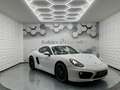 Porsche Cayman S 981 3.4i 325 - PDK - PSE/Bose/PDLS/Garantie 12 mois Weiß - thumbnail 3