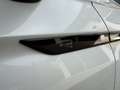 Volkswagen Tiguan 2.0 TSI R-Line 4Motion OPF 180 kW (245 PS), Aut... Wit - thumbnail 14
