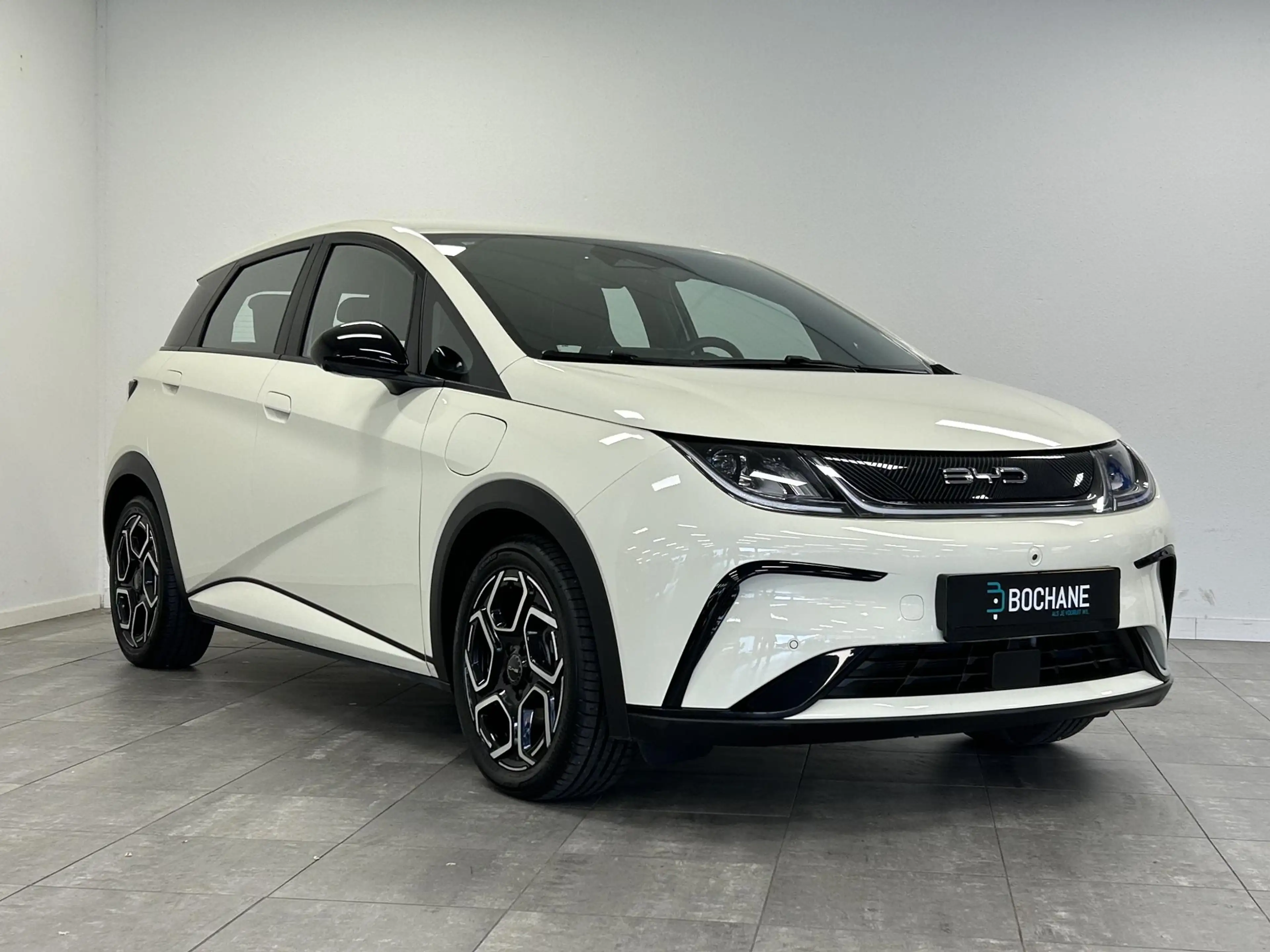 BYD Dolphin Comfort 60.4 kWh SOH 98% | Rondomzicht camera | LE — photo 5