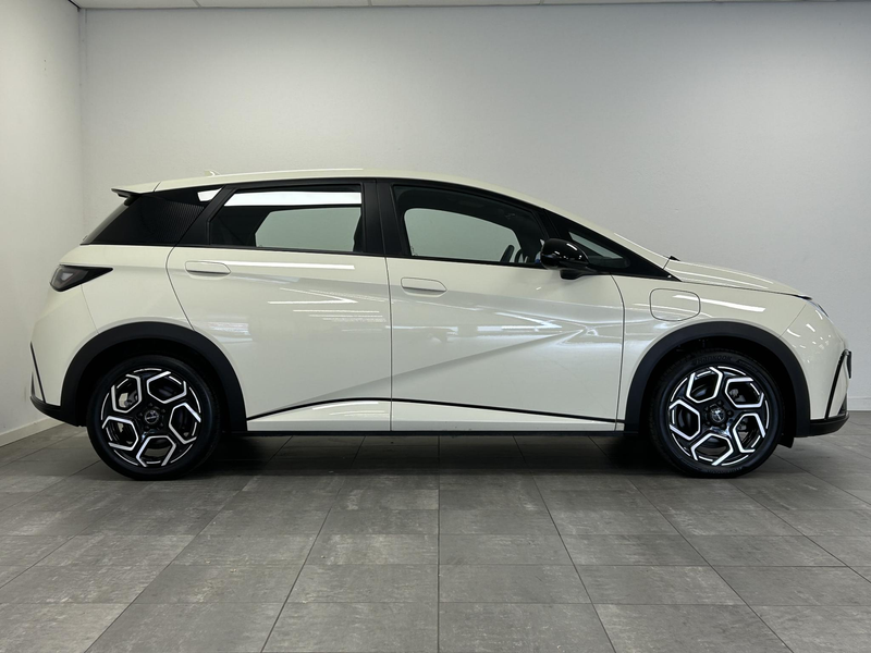 BYD Dolphin Comfort 60.4 kWh SOH 98% | Rondomzicht camera | LE — photo 20