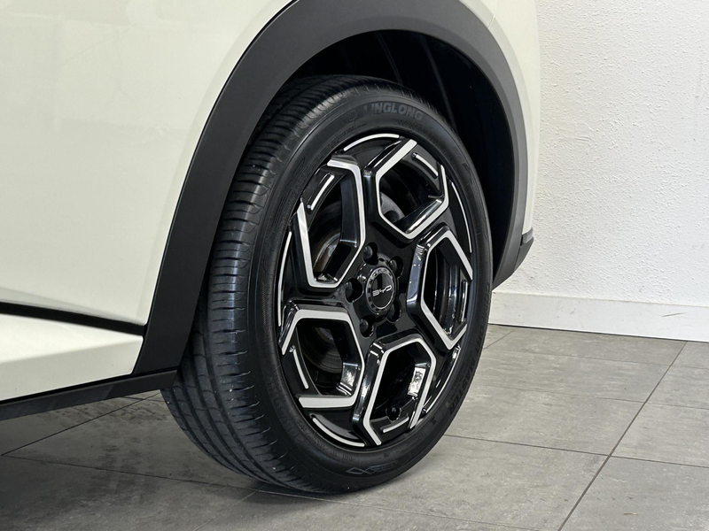 BYD Dolphin Comfort 60.4 kWh SOH 98% | Rondomzicht camera | LE — photo 35