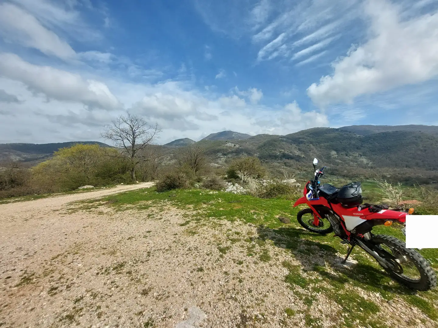 Honda CRF 300 L Rosso - 1