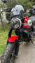 Ducati Scrambler 800 Icon Красный - thumbnail 3