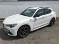 Alfa Romeo Stelvio MY 20 Stelvio 2.0 Turbo 16V 206kW Super AT8-Q4 Weiß - thumbnail 4