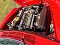 Alfa Romeo 2000 Spider OLDTIMER Rot - thumbnail 15