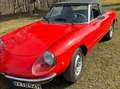 Alfa Romeo 2000 Spider OLDTIMER Rot - thumbnail 2