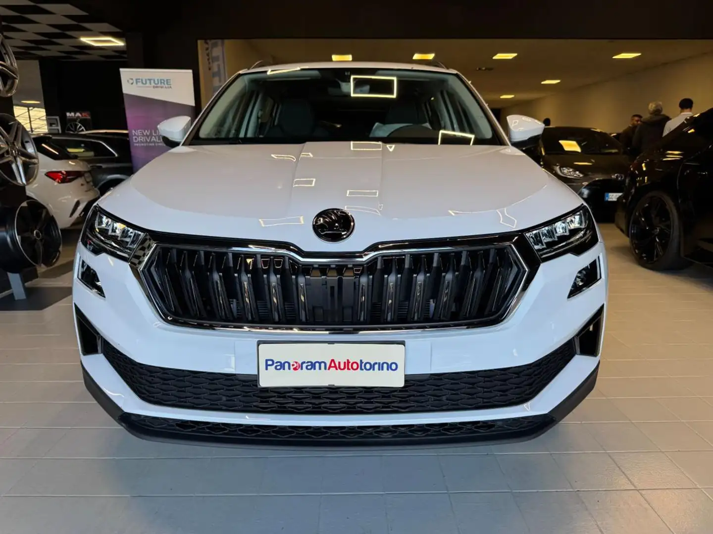Skoda Karoq 2.0 TDI SCR 4x4 DSG Selection Wit - 2