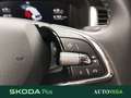 Skoda Kodiaq 1.5 tsi executive dsg 7p.ti Grigio - thumbnail 13