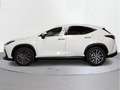 Lexus NX 450h+ Premium+ 4WD - thumbnail 3
