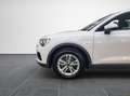 Audi Q3 Q3 35 TDI S tronic Business Wit - thumbnail 22