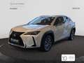Lexus UX 300e e-+ Blanco - thumbnail 2