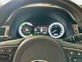 Kia Niro 1.6 GDi HEV 104kW (141CV) Drive Niebieski - thumbnail 13