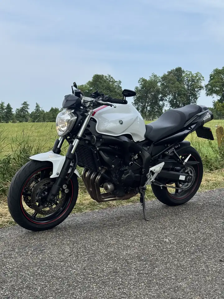 Yamaha FZ 6