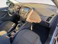 Ford Focus Focus SW 1.5 tdci Business s&s 120cv - thumbnail 14