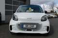 smart forTwo Fortwo coupe electric drive / EQ Navigation Weiß - thumbnail 3