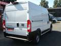 Fiat Ducato 35 L2H2 140 Multijet Maxi verblecht - thumbnail 3