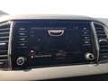 Skoda Karoq 2.0 TDI EVO SCR 115 CV Executive Grigio - thumbnail 31