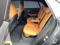 Audi RS Q8 performance 305/HuD/AHK/OLED/RS-Aga/Pano/B Grau - thumbnail 12