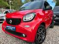 smart forTwo *KAMERA*PRIME*PANORAMA*LEDER*NAVI* Rouge - thumbnail 7