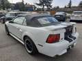 Ford Mustang GT 4,6 V8 Aut. Cabrio Klima Leder el. Verdeck Temp Weiß - thumbnail 7