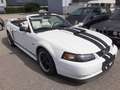 Ford Mustang GT 4,6 V8 Aut. Cabrio Klima Leder el. Verdeck Temp Weiß - thumbnail 1