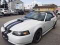 Ford Mustang GT 4,6 V8 Aut. Cabrio Klima Leder el. Verdeck Temp Weiß - thumbnail 6
