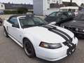 Ford Mustang GT 4,6 V8 Aut. Cabrio Klima Leder el. Verdeck Temp Weiß - thumbnail 8