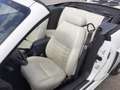Ford Mustang GT 4,6 V8 Aut. Cabrio Klima Leder el. Verdeck Temp Weiß - thumbnail 15