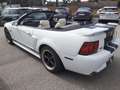 Ford Mustang GT 4,6 V8 Aut. Cabrio Klima Leder el. Verdeck Temp Weiß - thumbnail 5