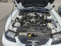 Ford Mustang GT 4,6 V8 Aut. Cabrio Klima Leder el. Verdeck Temp Weiß - thumbnail 11