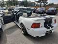 Ford Mustang GT 4,6 V8 Aut. Cabrio Klima Leder el. Verdeck Temp Weiß - thumbnail 2