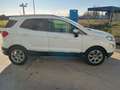 Ford EcoSport 1.5 ecoblue Titanium s&s 100cv my19 Bianco - thumbnail 12