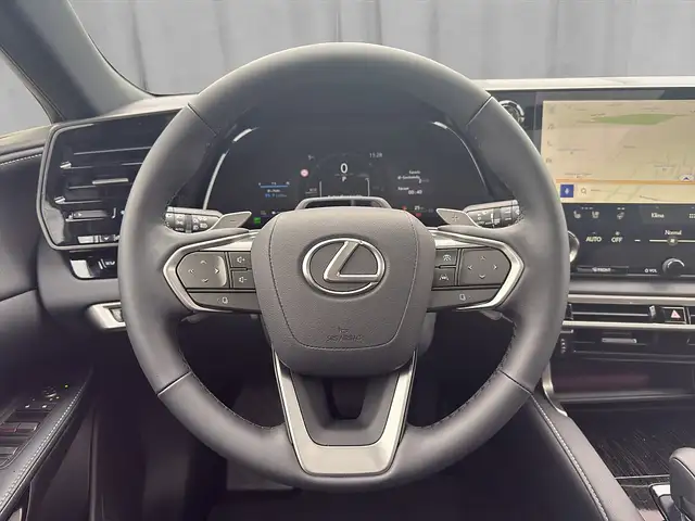 Lexus RX view 12