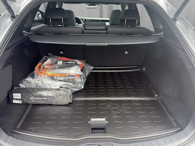 Lexus RX view 8