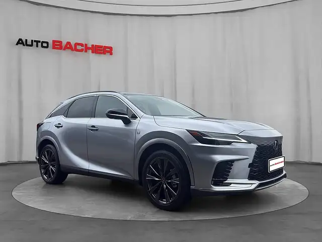 Lexus RX view 4