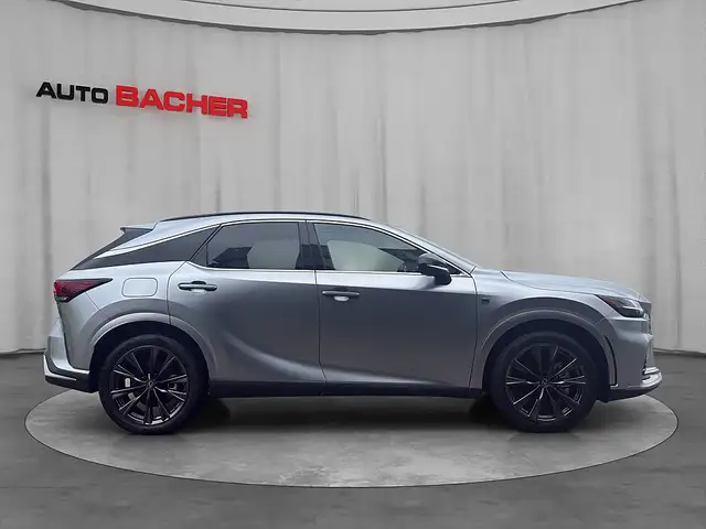 Lexus RX view 5