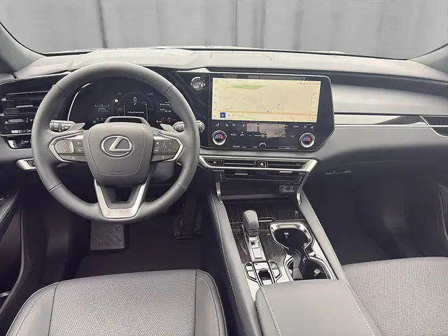 Lexus RX view 11