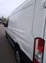 Ford Transit Kasten 350 L3 Trend Weiß - thumbnail 4