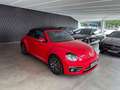 Volkswagen Beetle 1.2 TSI Cabriolet Sound*Navi*Bi-Xenon* Rot - thumbnail 1