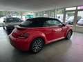 Volkswagen Beetle 1.2 TSI Cabriolet Sound*Navi*Bi-Xenon* Rot - thumbnail 6